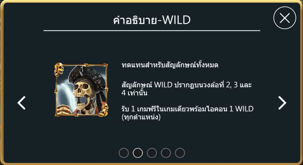 Pirate-King-wild-bm